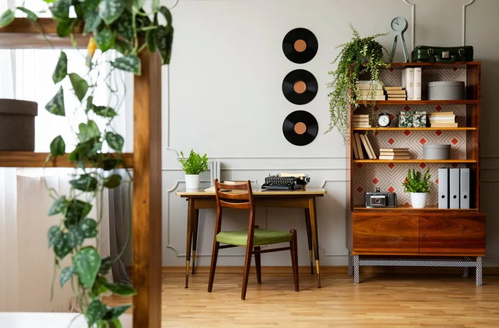 interiors with indoor plants